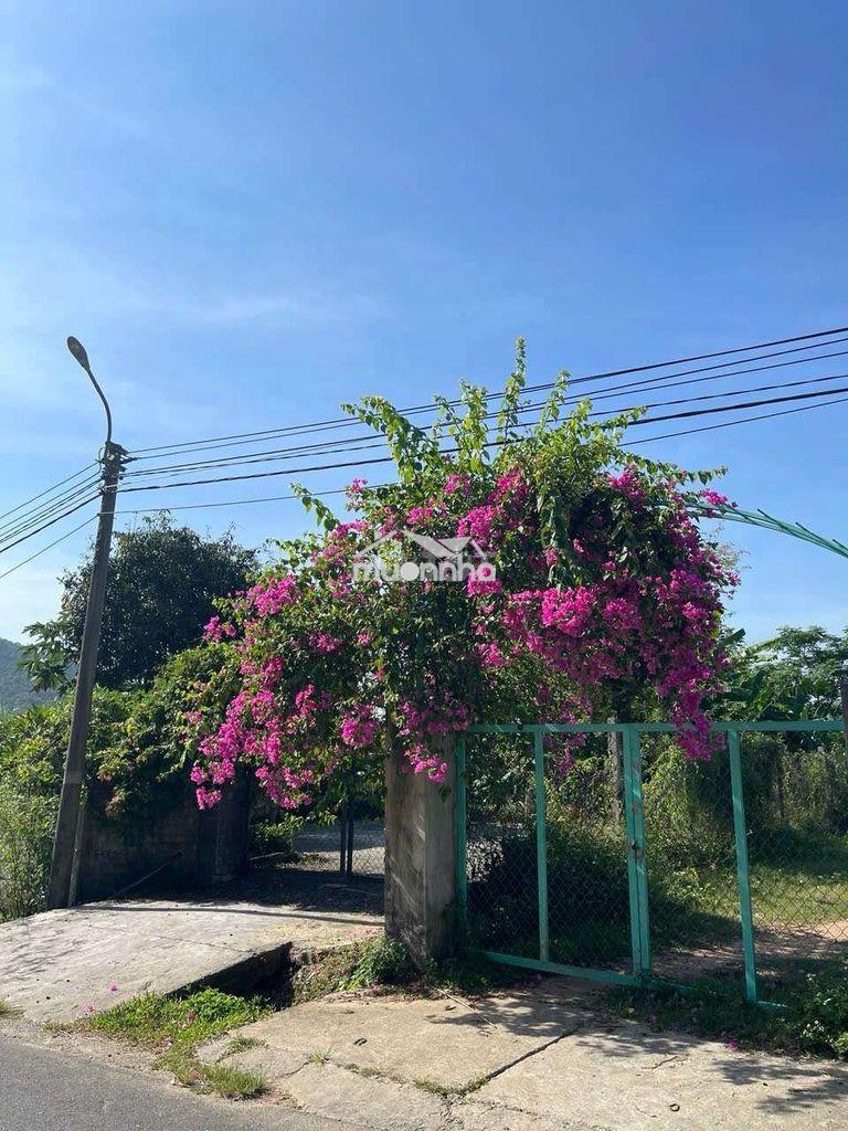 Lô đất quy chủ ngô xuân thu nối dài. đà nẵng - 2