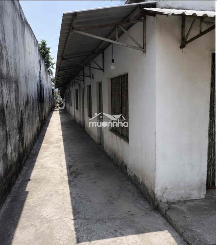 🏡 Đất 7x43 full thổ – 15 phòng trọ – dòng tiền 12tr/tháng ( củ chi, tp