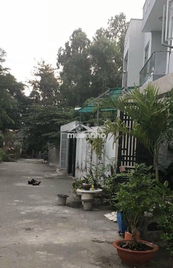 Cho thuê nhà 40m2 1 trệt 1l 3pn hẻm 3 gác hiệp bìnhchánh thủ đức 7tr