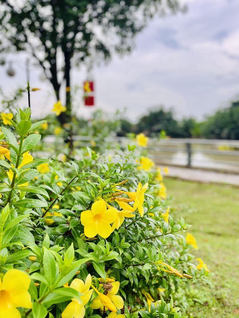 Nhà compound liên phường q9 - park riverside - 3 tầng full nt -3pn 3wc - 2
