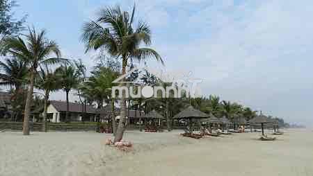 Bán đất biển cửa đại, tp hội an - 3