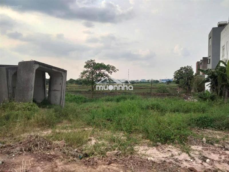 Bán đất kênh tiêu bà điểm hóc môn