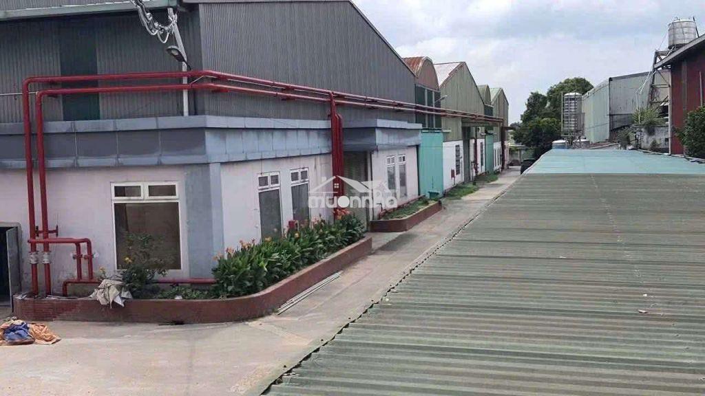 Chính chủ cho thuê nhà xưởng 2000. thuận an, 3.5usd/m. giấy tờ đầy đủ - 3