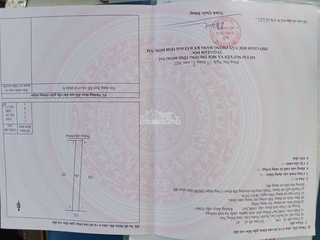 Chính chủ bán 1 sào cách nhựa phượng vỹ 100m - 2