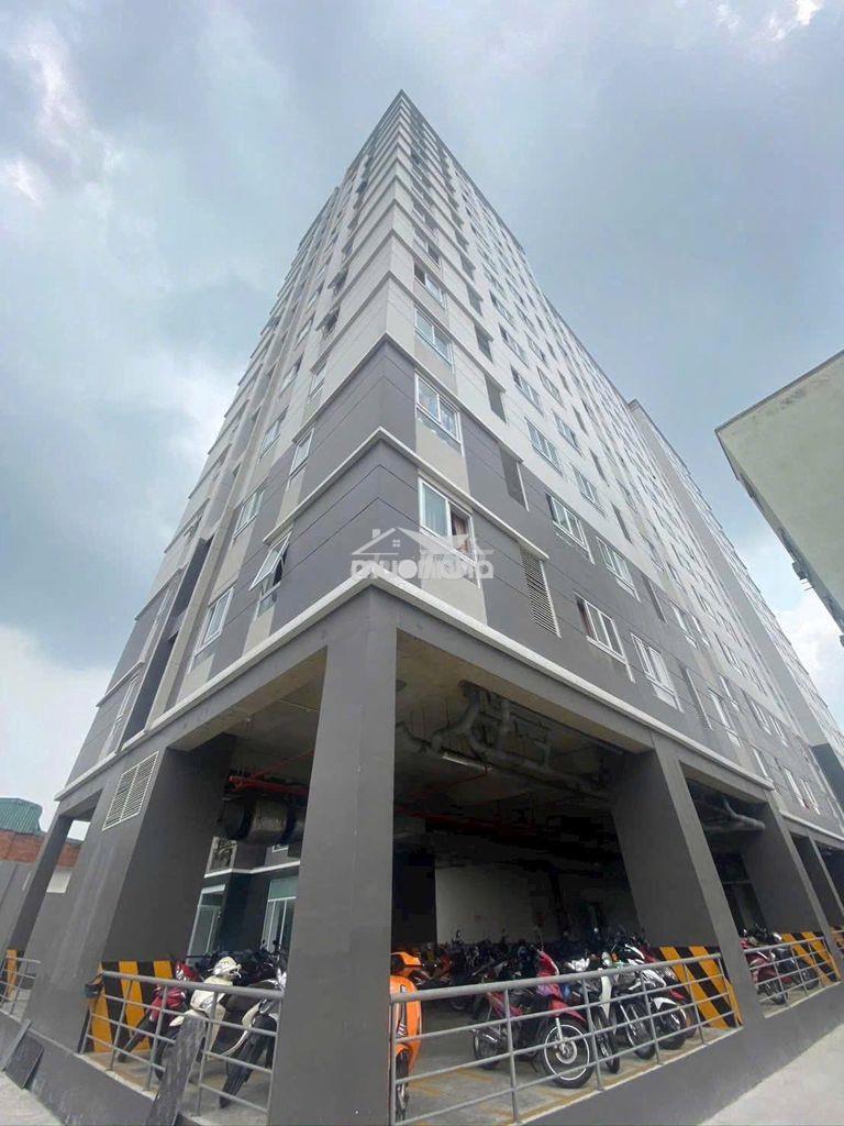  Cần cho thuê căn hộ chung cư felisa riverside - 2