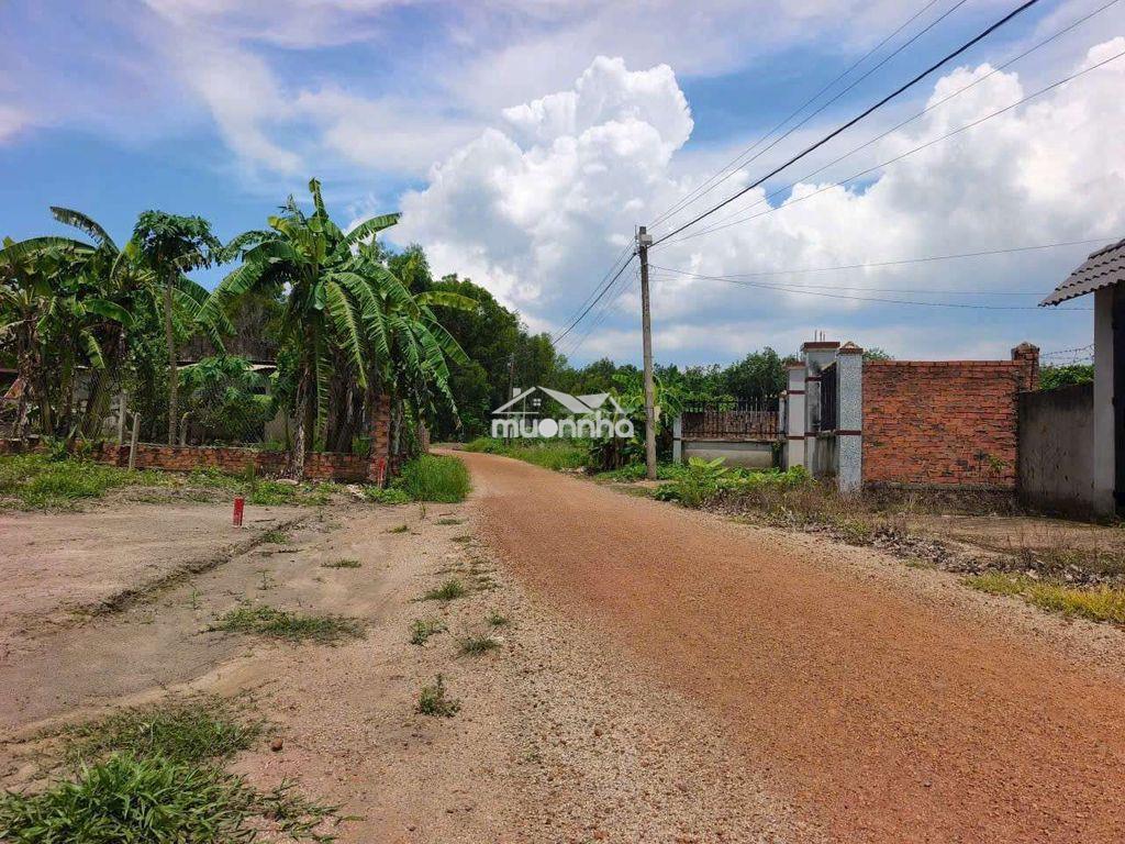 Chính chủ cần bán mảnh vườn 1200m2 có sẵn gần 200m thổ cư. - 3