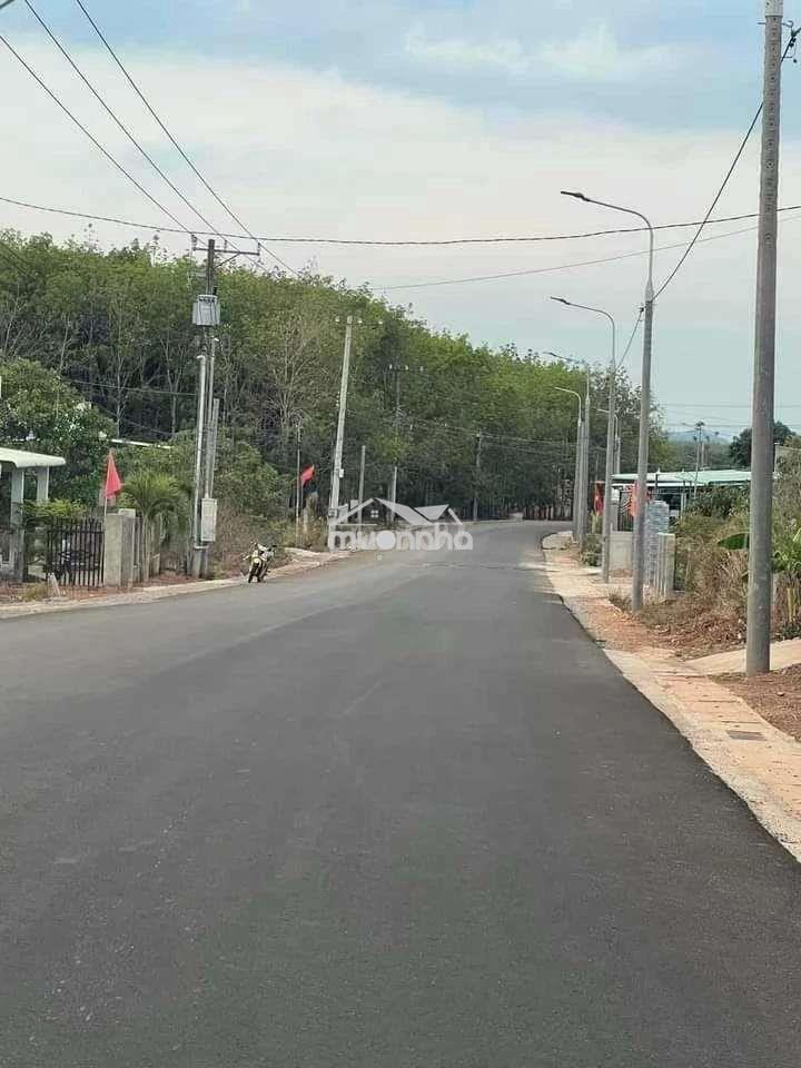 Chính chủ bán 1 sào cách nhựa phượng vỹ 100m - 3