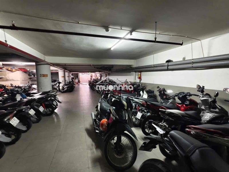 Chdv 7 tầng 276m2(8.8x33)khoán 140tr/tháng + 50phòng hxh 1/+1200m2 sàn