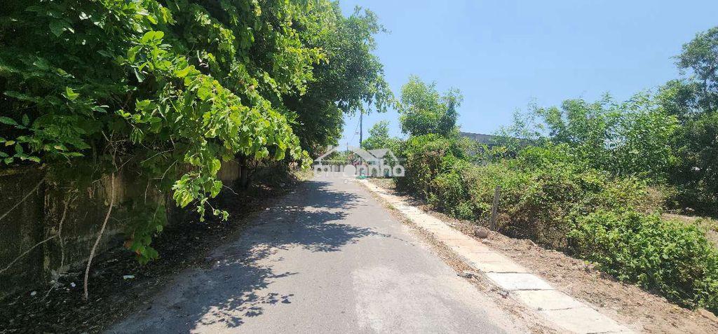 Lô đất view rừng, 1000m2, cách biển hồ tràm 500m, shcc,tiện kd du lịch - 4