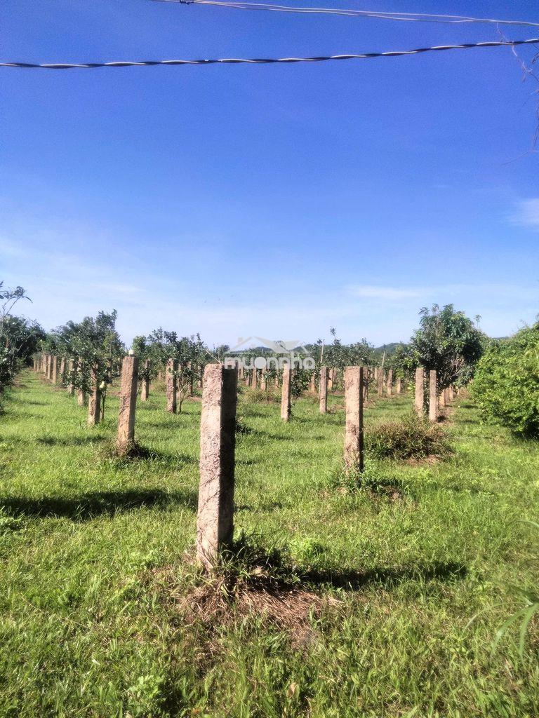 Bán nhanh đất ở hàm thuận bắc, phan thiết - 3