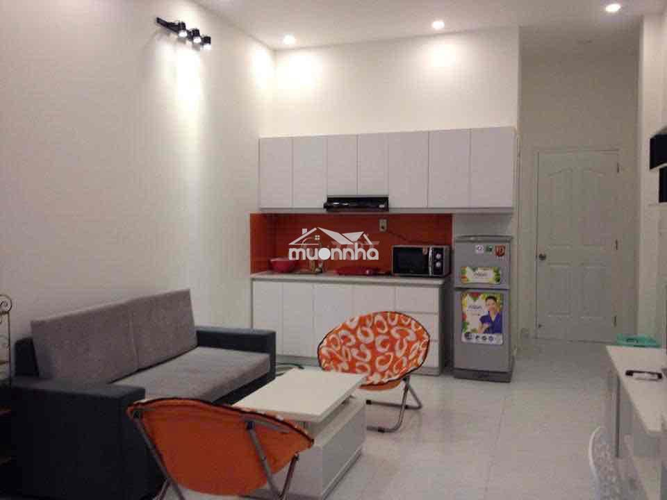 Căn hộ dịch vụ tại quận 1 (gần hồ con rùa, phí dịch vụ thấp) - 3