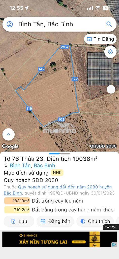 Bán 19.000m2 đất trồng cây xã bình tân, huyện bắc bình, bình thuận - 4