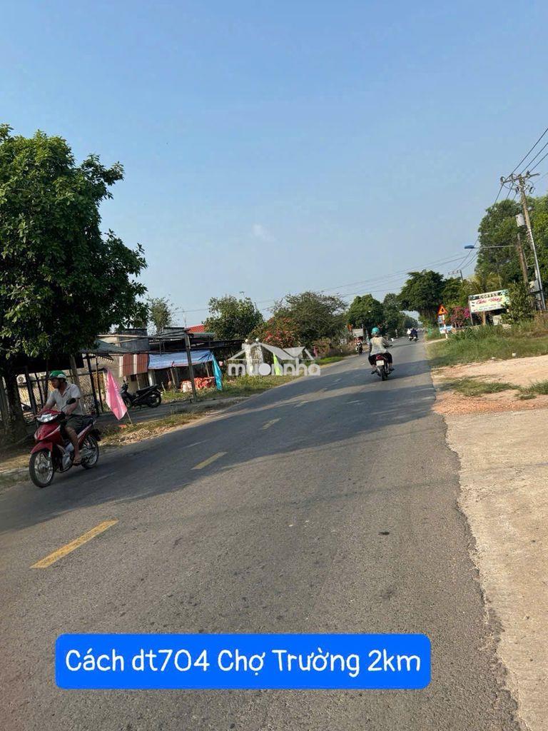 Đất thổ cư tphcm (dầu tiếng cũ)| 206m² có sẵn 100m² thổ cư - 4