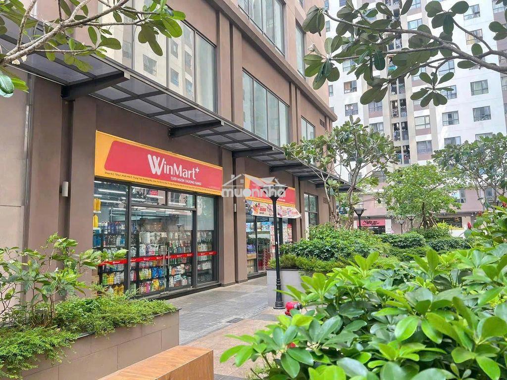 Chính chủ cần bán nhanh căn 2 pn green river quận 8 - 3