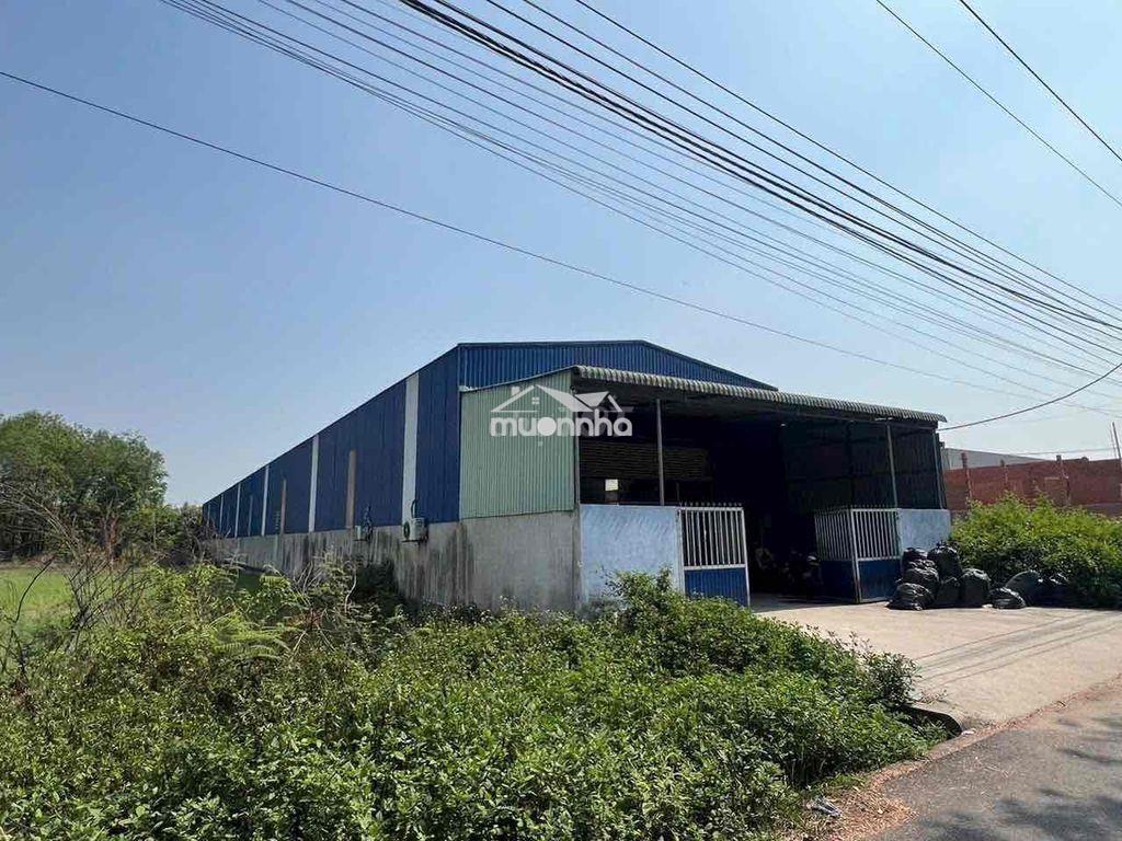 Cho thuê xưởng 1000m hoà lợi- bến cát - 3