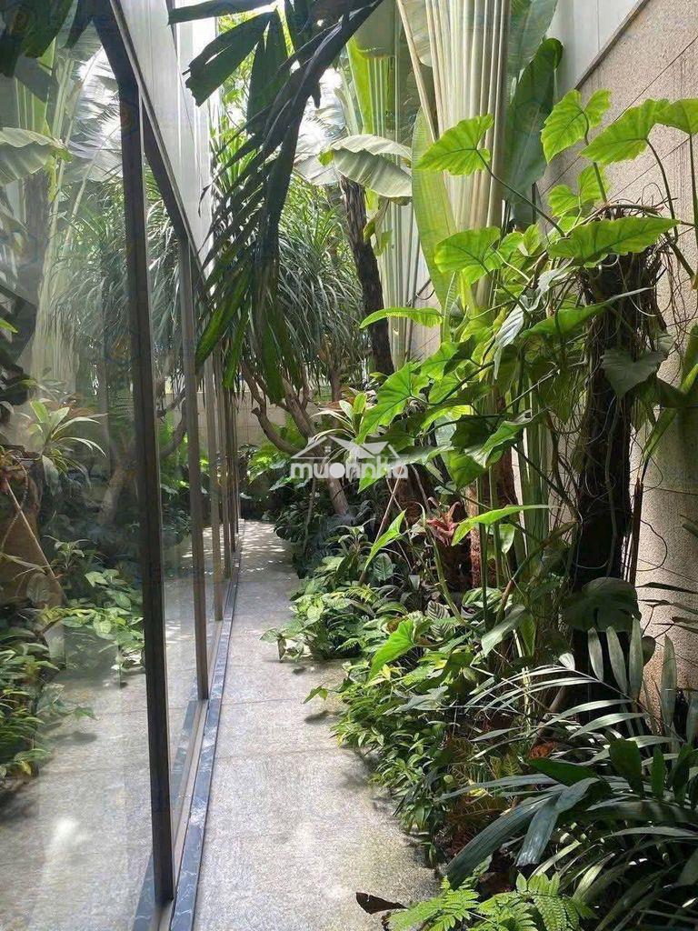 Biệt thự sân vườn khu f&b phan xích long- hoa mai phú nhuận,900m2 - 3