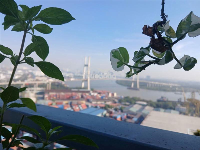 [Giá 6ty] luxgarden q7 căn 115m 3pn*2wc, sổ hồng sẵn