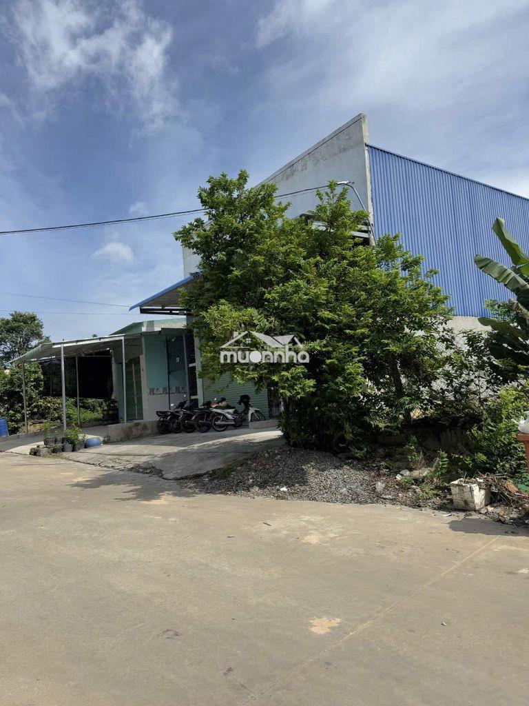 Cho thuê kho / xưởng – tân hiệp, tân uyên, bình dương - 3