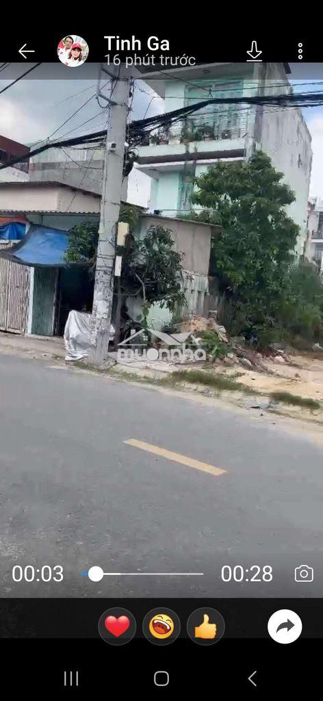Cân cho thuê - 4