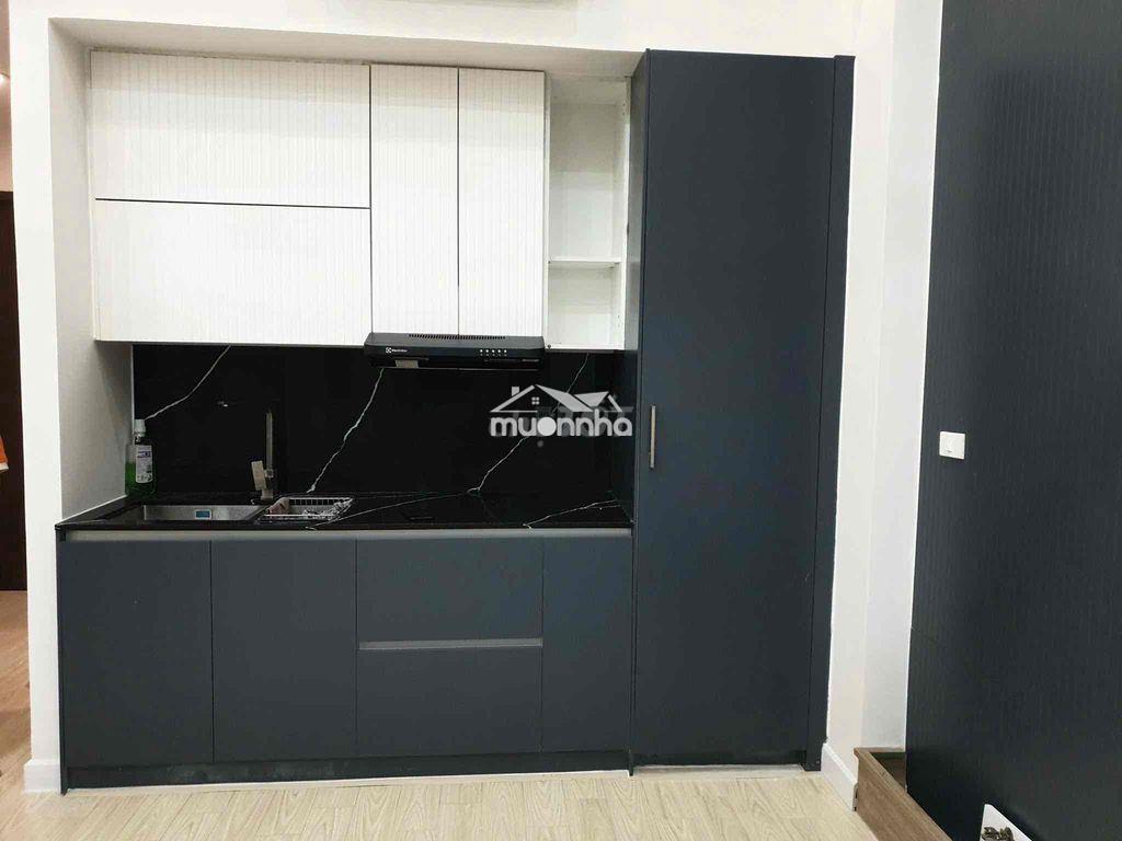 Cho thuê căn ot sunrise cityview 38m2 + 10m2 lửng - 2
