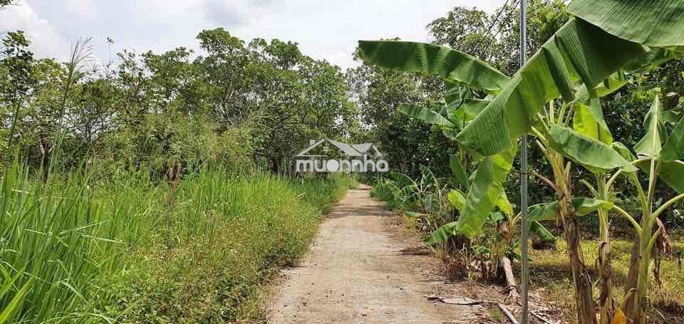 Bán rẻ đất bình lộc, sang tên ngay - 3