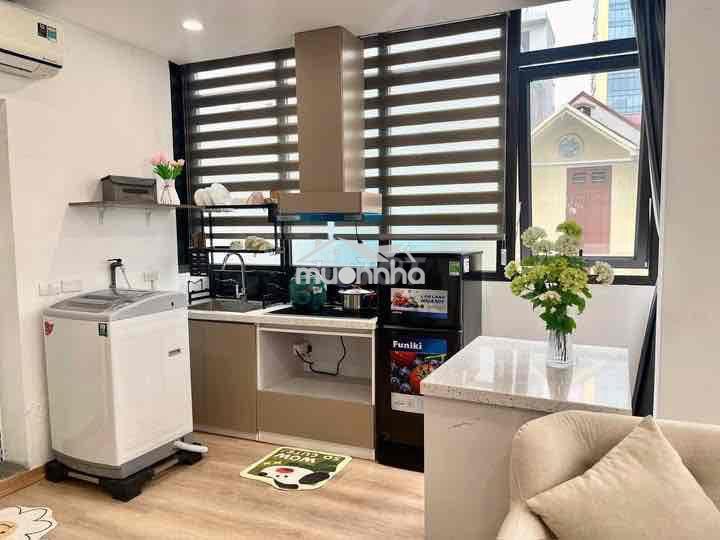 Phòng studio, cửa sổ trời_diện tích 40m2_hẻm 386 lê văn sỹ - Ảnh 3