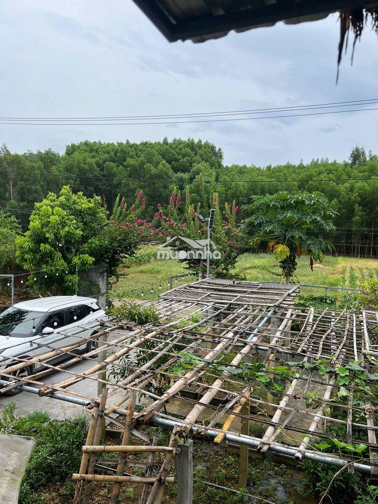Cần bán căn nhà vườn tâm huyết tại thôn hoà phước, xã hoà phú