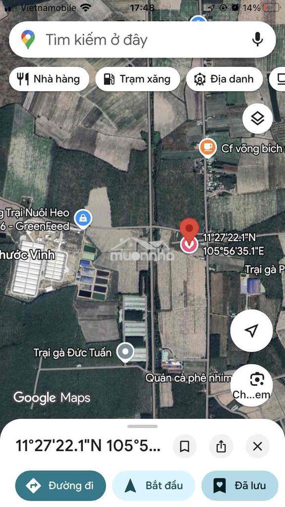 Đất giá rẻ cho ace ở thật đây