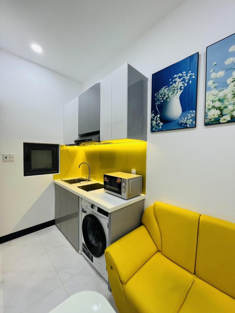Cho thuê căn hộ chung cư mini full nội thất cao cấp gần lotte mart quận 7 - Ảnh 4