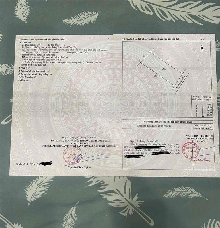 Chính chủ bán 1048m2 đông hòa - ngang 19.6m cực hiếm - diện tích: 104