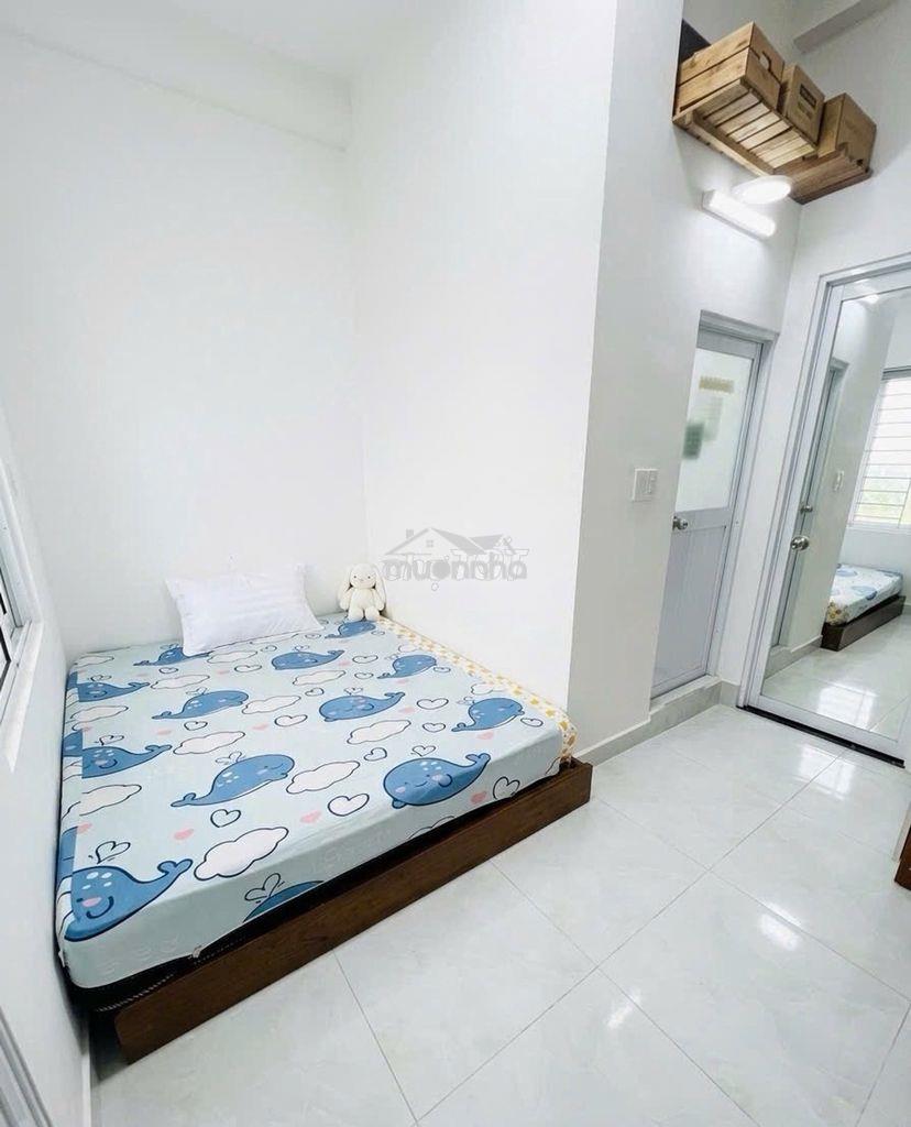 5x14,5m, hẻm ôtô thông, âu cơ, 3 tầng, chủ gấp bán - Ảnh 4