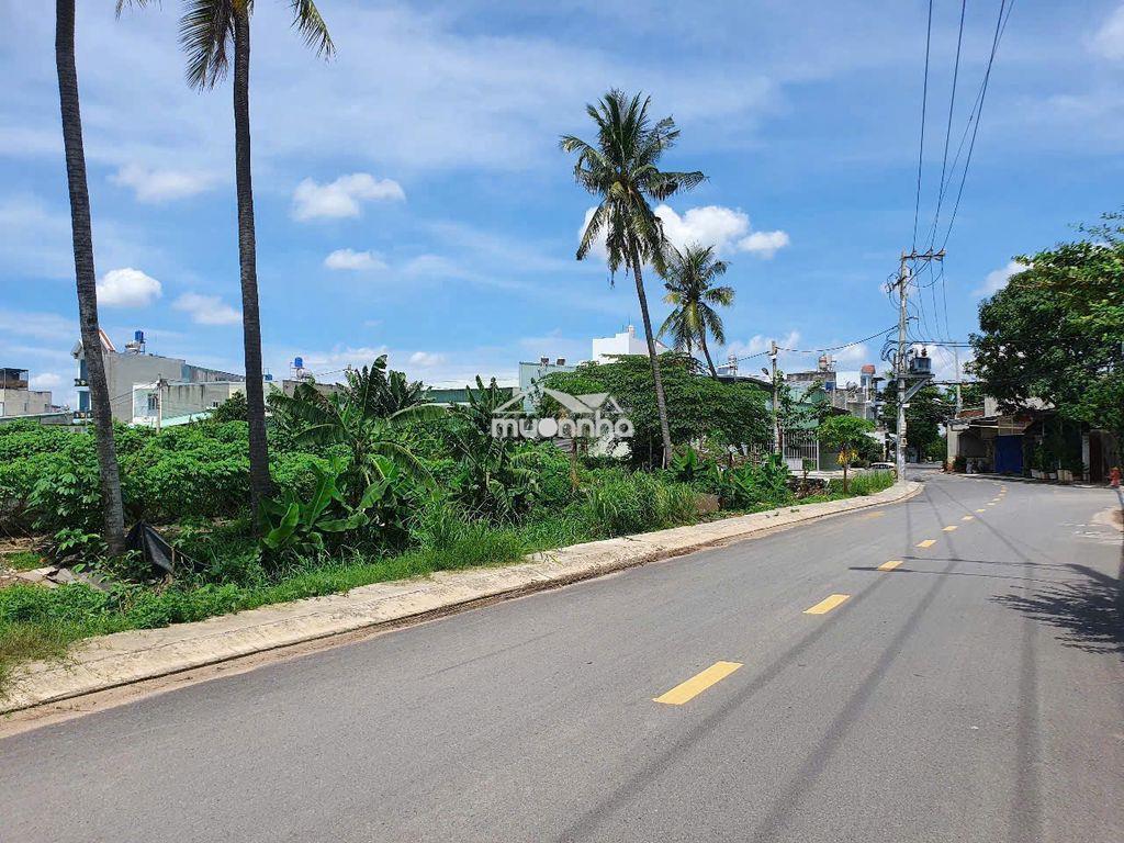 Chính chủ gửi bán gấp quỹ đất 4.000m quận 12 - Ảnh 3