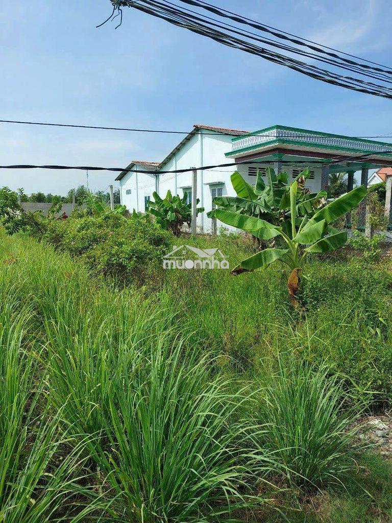 Đât vườn thạnh hoà, bến lức