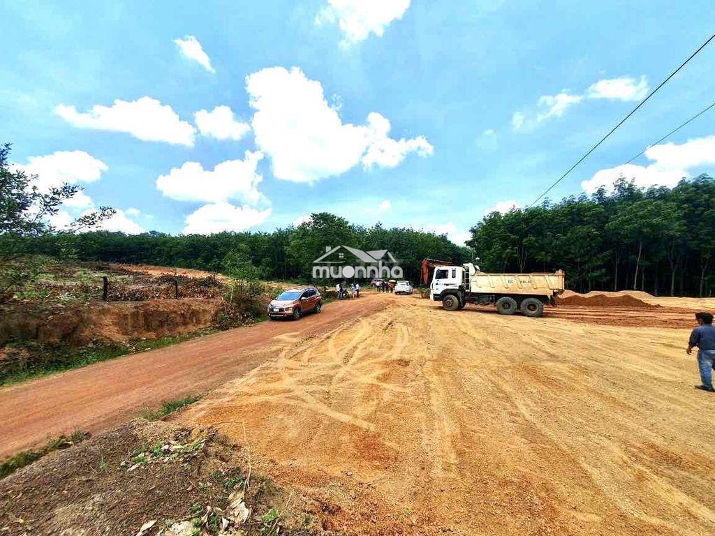 Chính chủ đang ngộp ngân hàng cần bán gấp 1.8 ha đất vườn - Ảnh 2