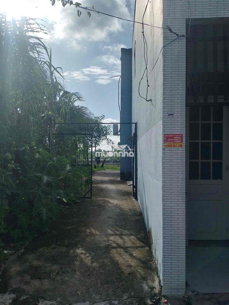 Bán nhà huyện bình chánh - Ảnh 3