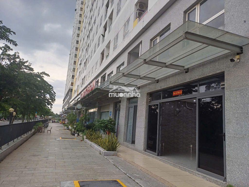 Cho thuê shophouse 1 trệt 1 lầu vừa ở vừa kinh doanh - Ảnh 2