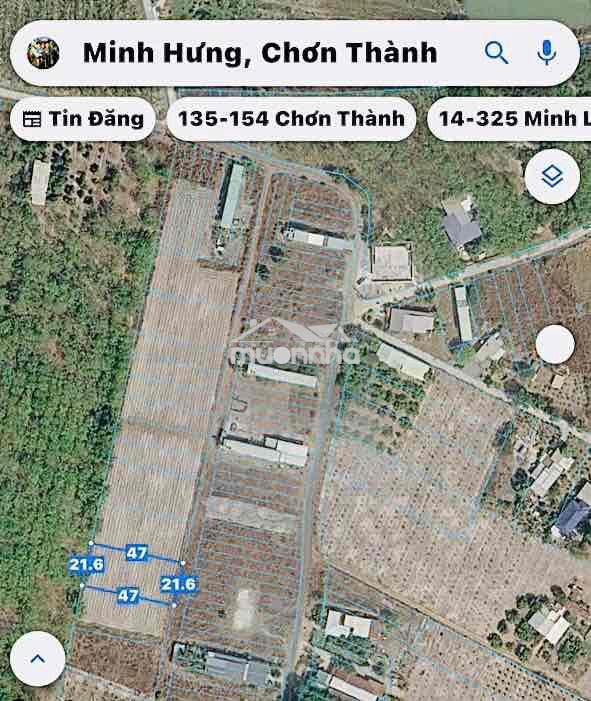 Bán mãnh sào giá ngộp sổ sẵn , gần kcn becamex - 2