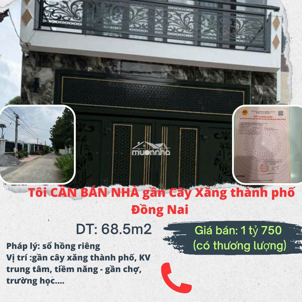 Tôi cần bán nhà phố cây da, tân triều đồng nai - Ảnh 2