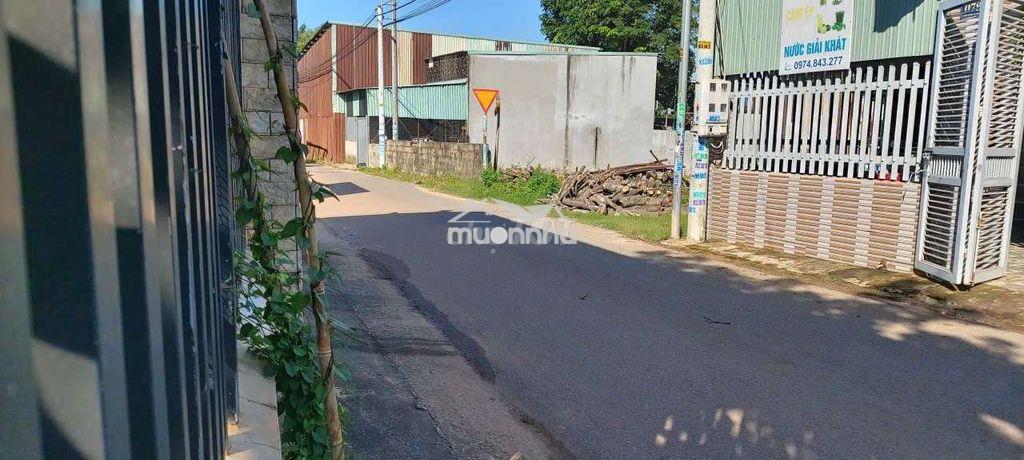Cho thuê kho xưởng hòa lợi bến cát - Ảnh 3
