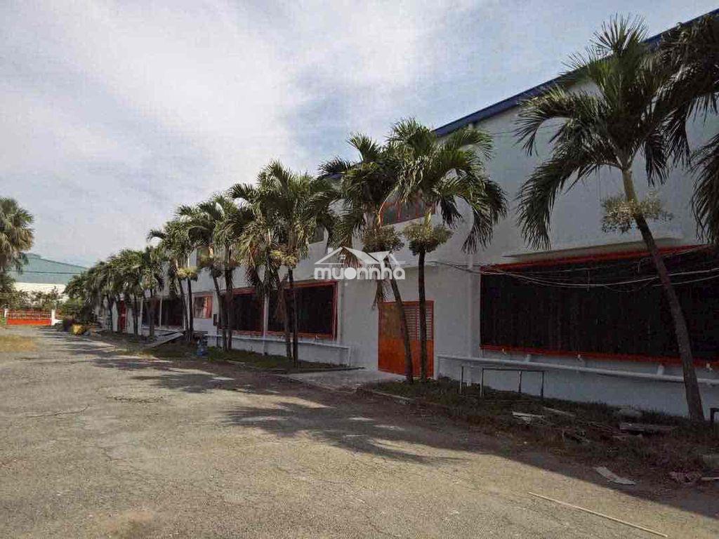 Cho thuê xưởng 6000m. xuân thới thượng. bà điểm. hóc môn - Ảnh 3