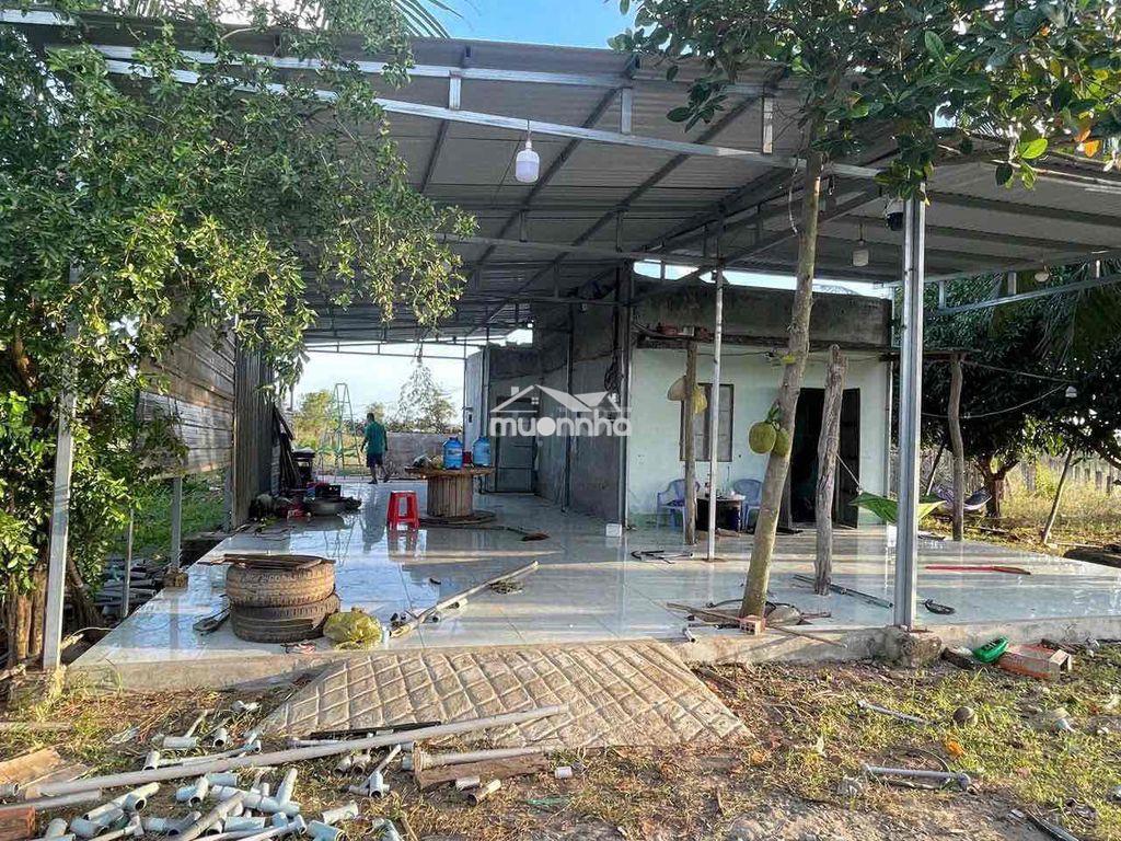 Chủ ngộp bank cần bán gaâp trong tháng, thương lượng mạnh - Ảnh 4