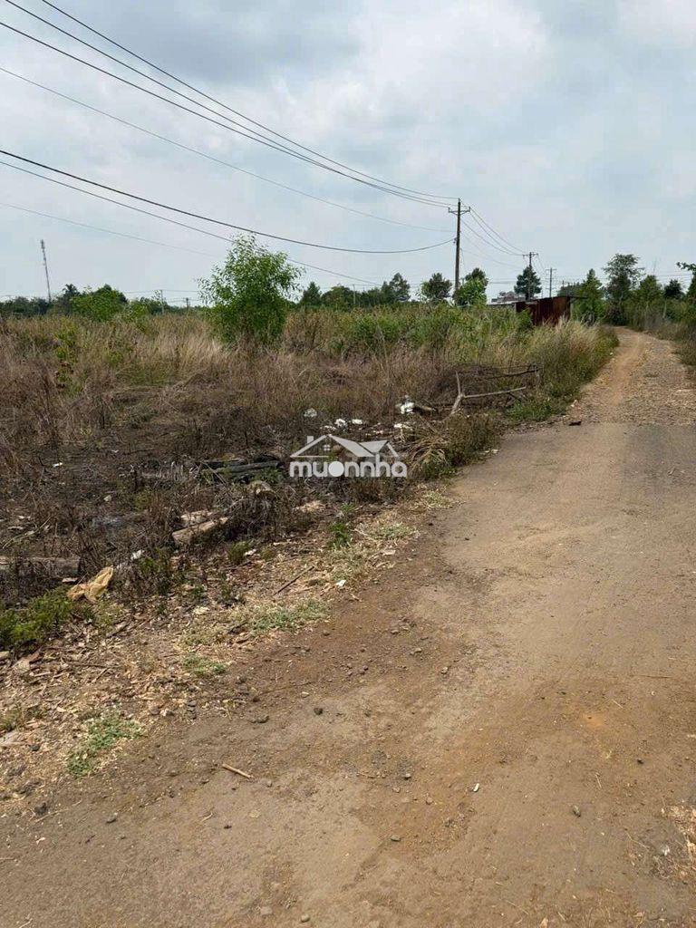 Chủ đất cần bán