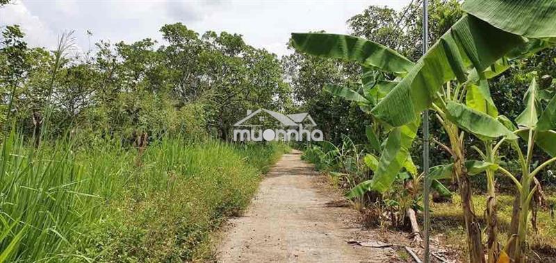 Bán rẻ lô đất long khánh