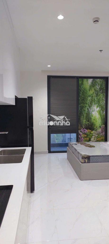 Cho thuê căn 2pn 2wc - Ảnh 3