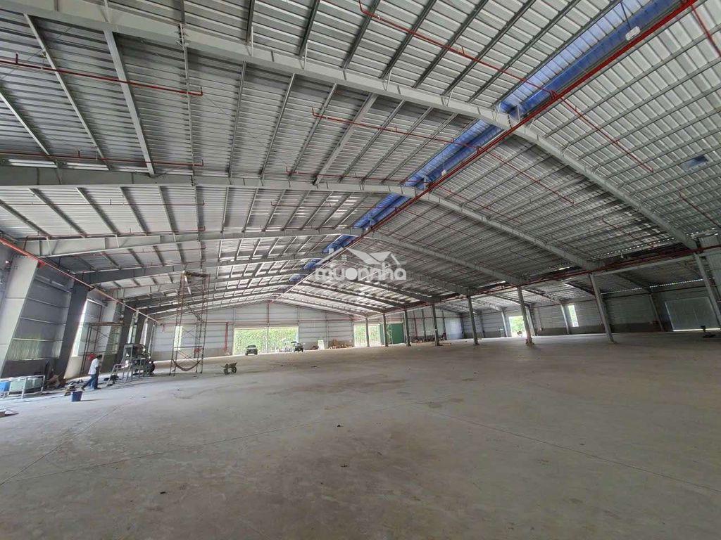 Cho thuê xưởng ở phước hòa , phú giáo - Ảnh 2