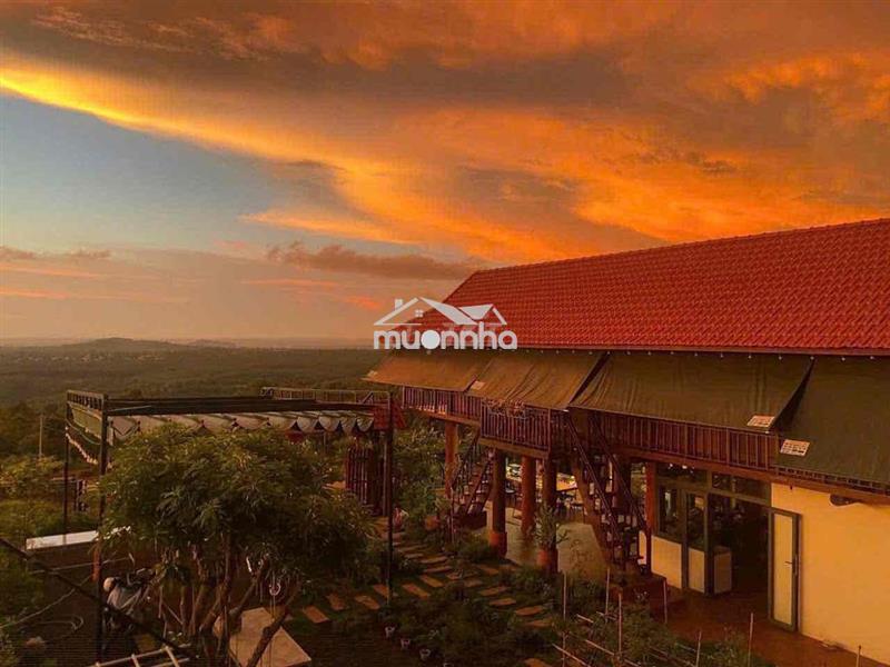 Homestay view đồi hoàng hôn cuối nguyễn hữu thấu 17x20m giá 7,9 tỷ