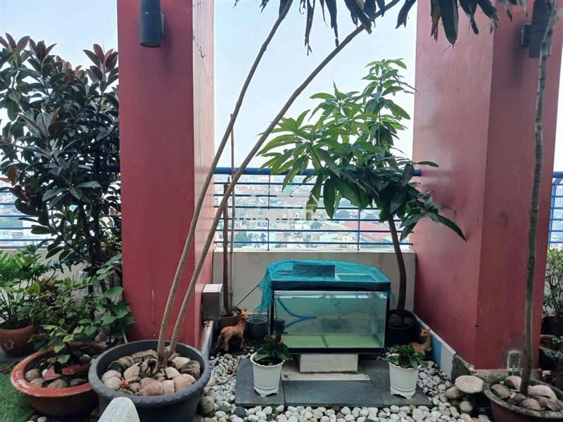 Cần bán penthouse , chung cư thái an 2