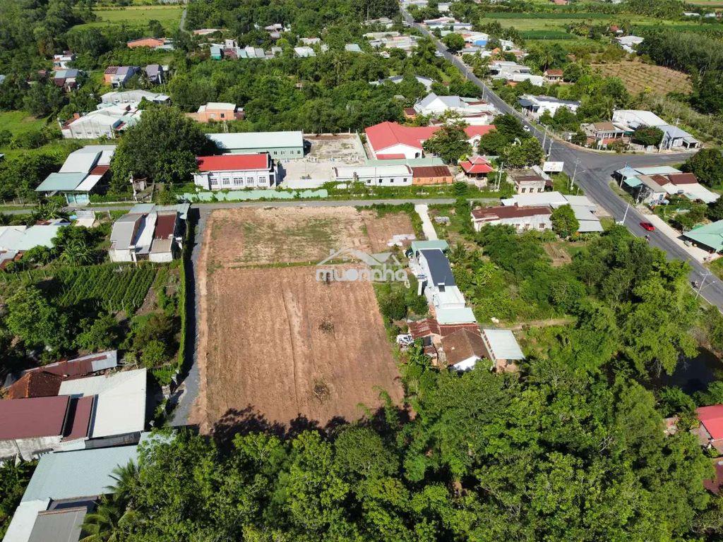 Bán đất 1 xẹt ql13 mặt tiền kinh doanh tốt. ngay cty trường học. - Ảnh 2