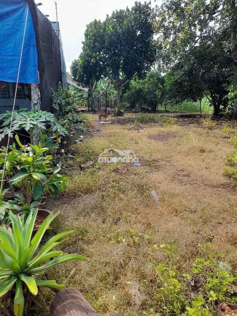Bán rẻ đất bình lộc, sang tên ngay - 4
