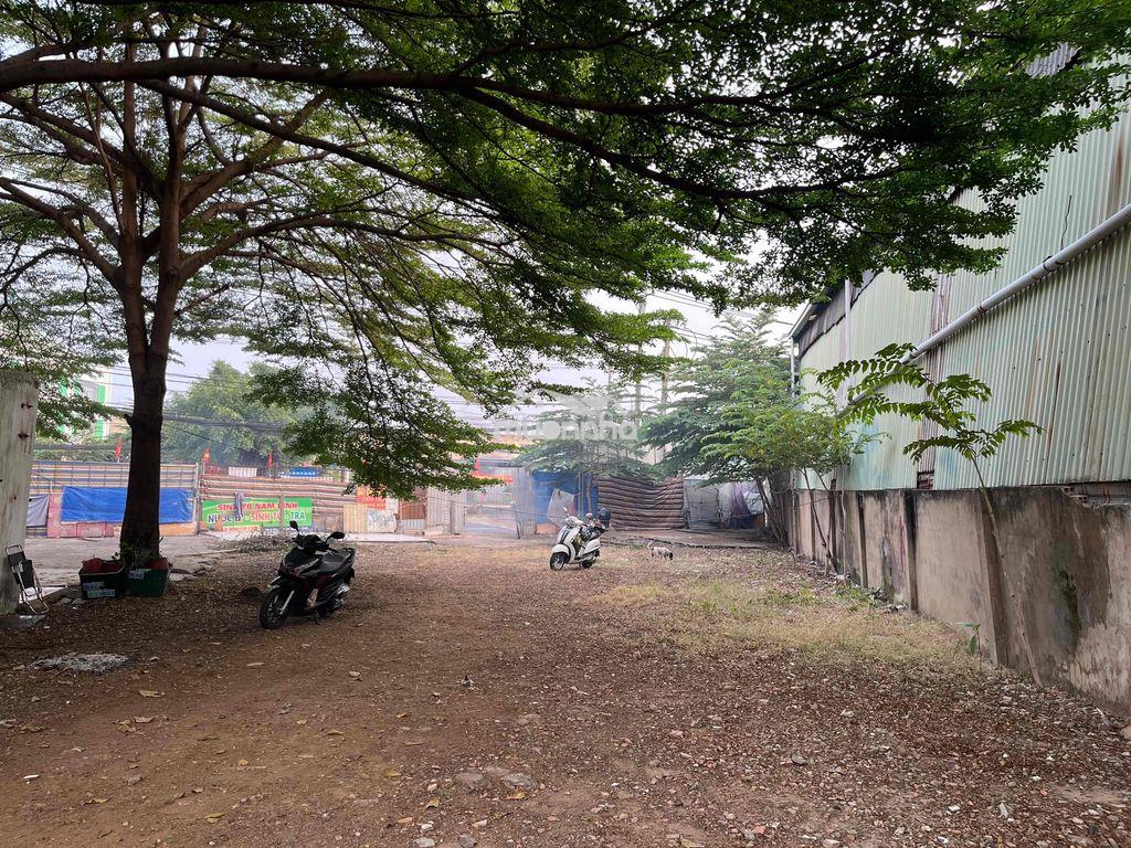📌📌Bán - chothu.ê đất chính chủ mặt tiền ql13 hiệp bình (hiệp bình phướ - Ảnh 4